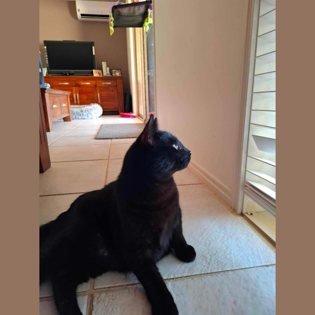 Photo of Terrence