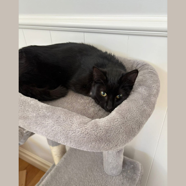 Photo of Black Betty