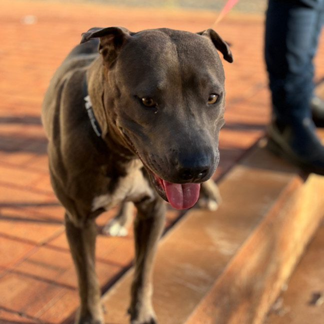 Photo of Asha