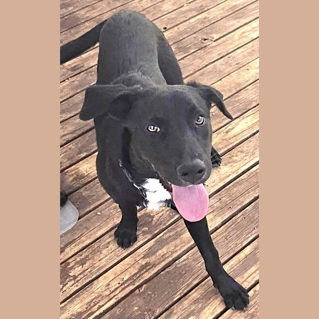 Photo of Turbo Aka Toby