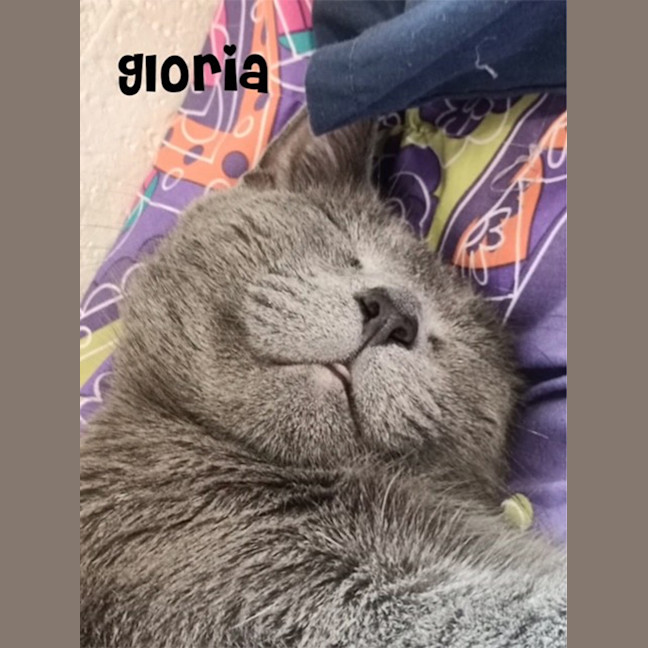 Photo of Gloria