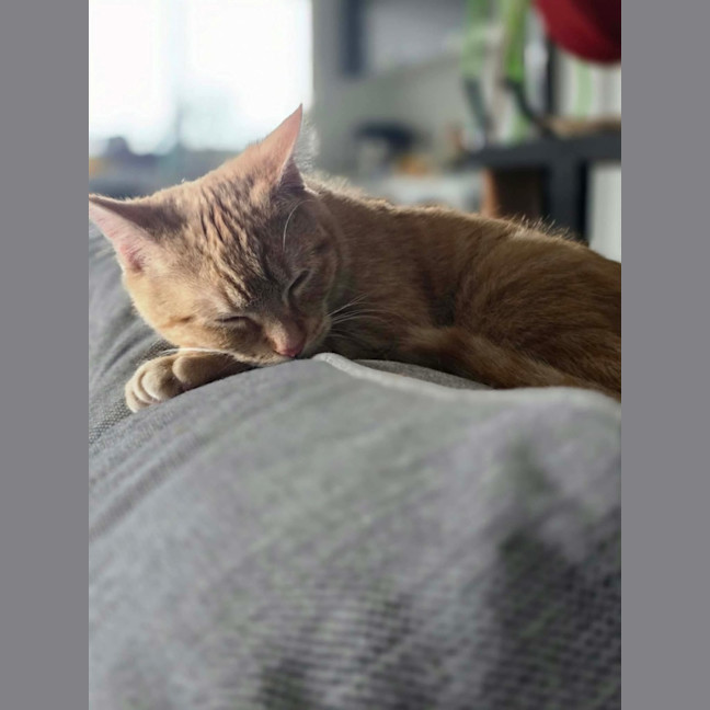 Photo of Bartholomew