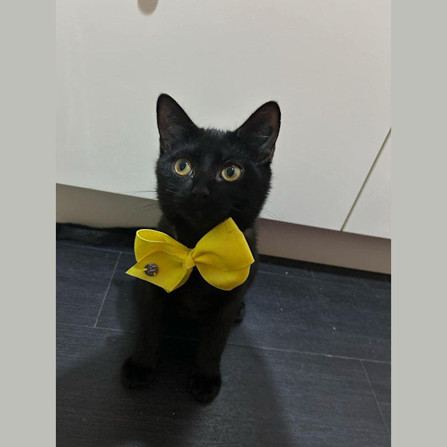 Photo of Monty