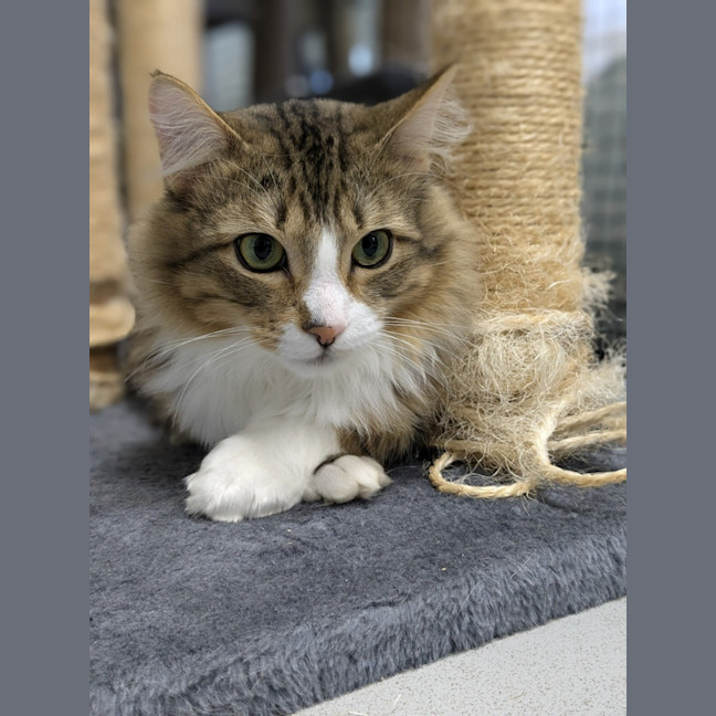 Photo of 🧭 Elijah 5198 🧭