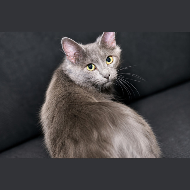 Photo of Storm