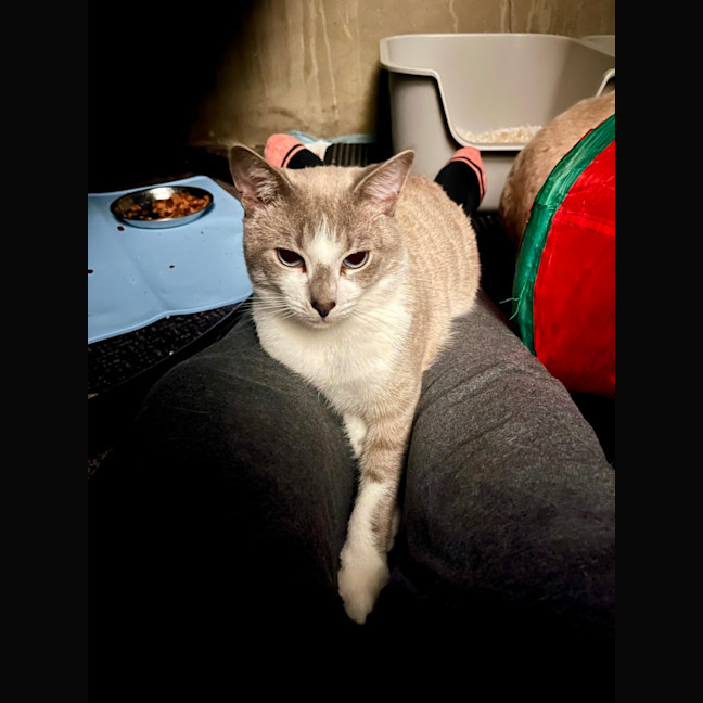Photo of Ghosty