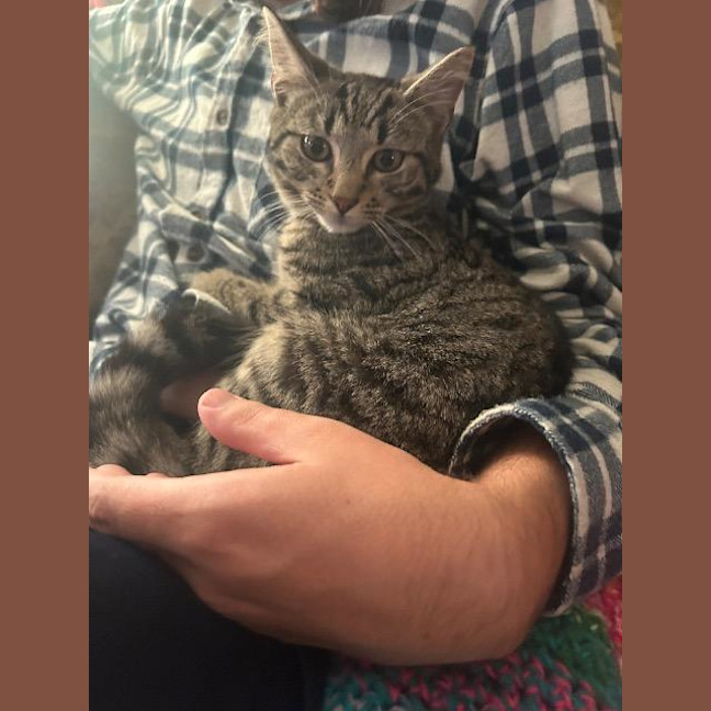 Photo of Grug