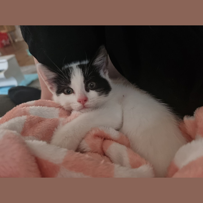 Photo of Eddie & Cherry 