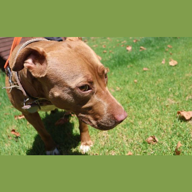 Photo of Sandie