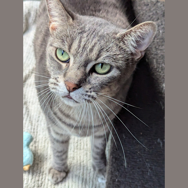 Photo of Mirabel