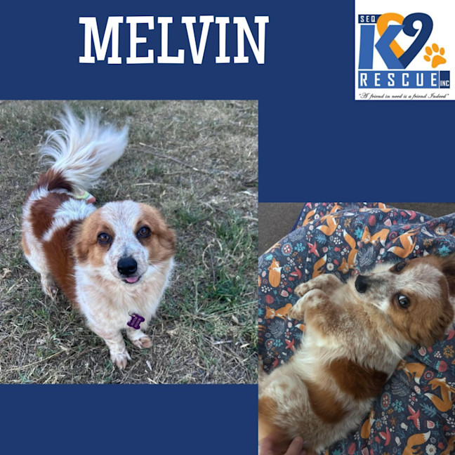 Photo of Melvin