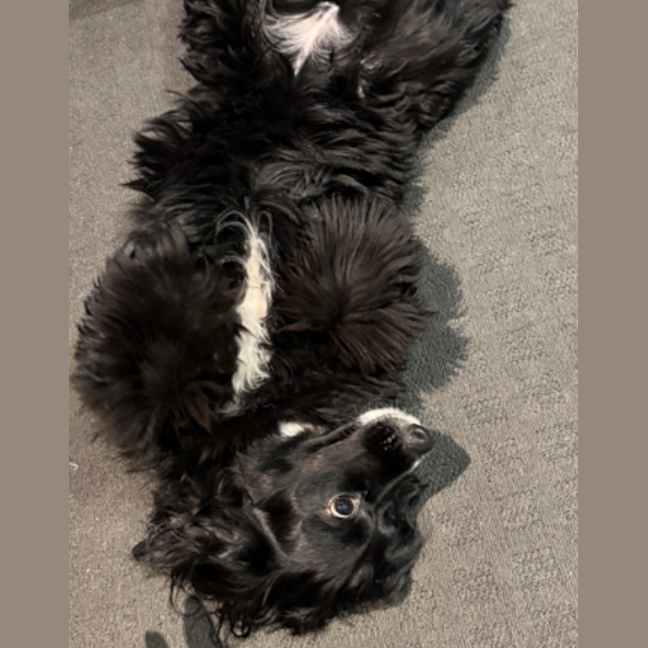 Photo of Maggie