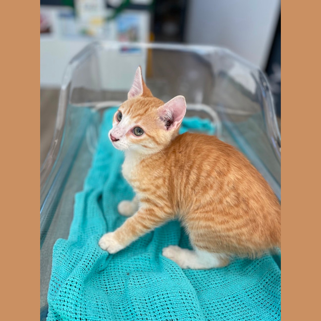 Photo of Marm