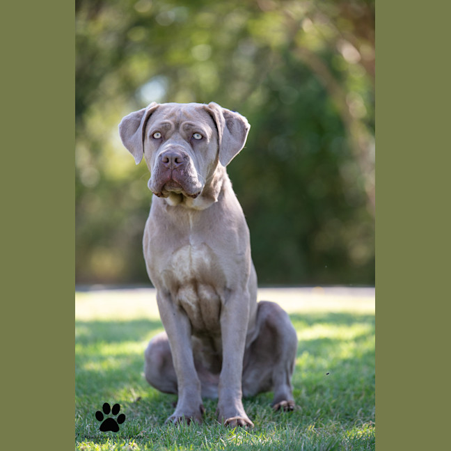 Photo of Sienna