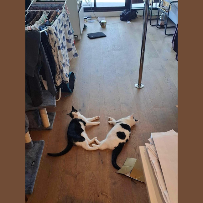 Photo of Maisie & Moo 🐄