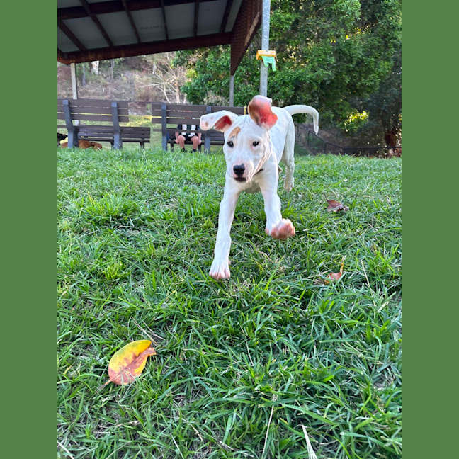 Photo of Yoshi 