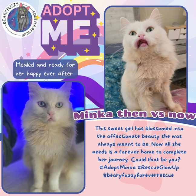 Photo of Minka (Located In Wantirna South)