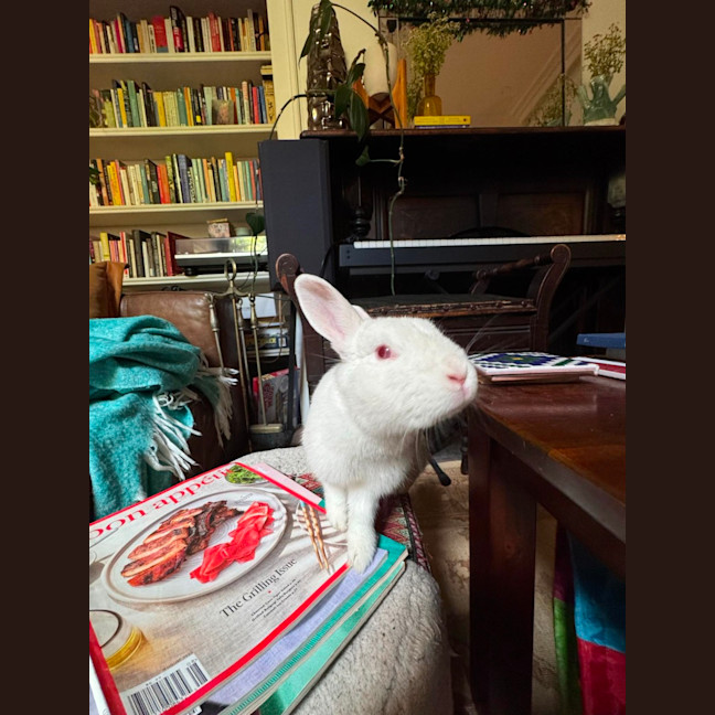 Photo of Bunnifer Anniston
