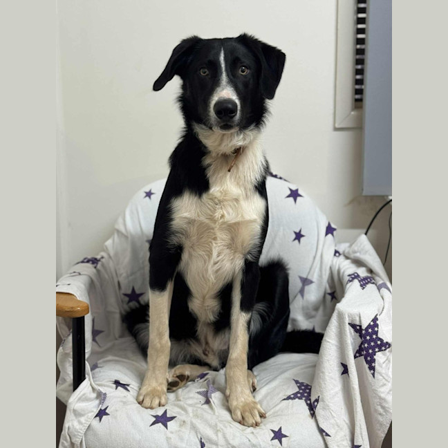 Photo of Max