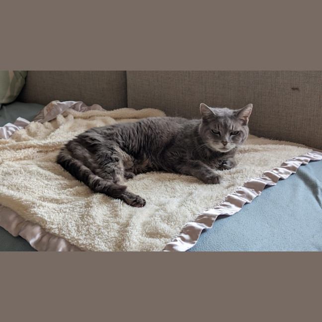 Photo of Dusty