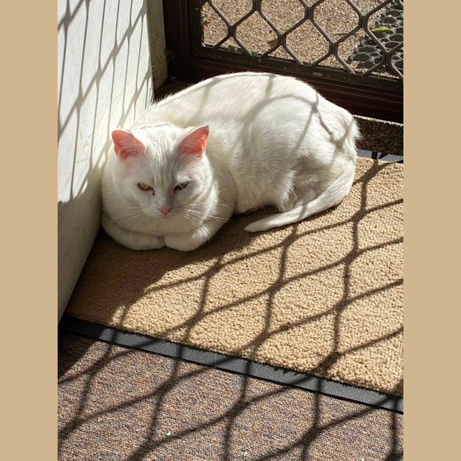 Photo of Chloe Belle 