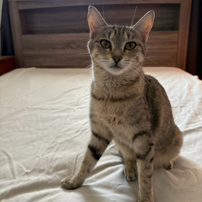 Photo of Nini
