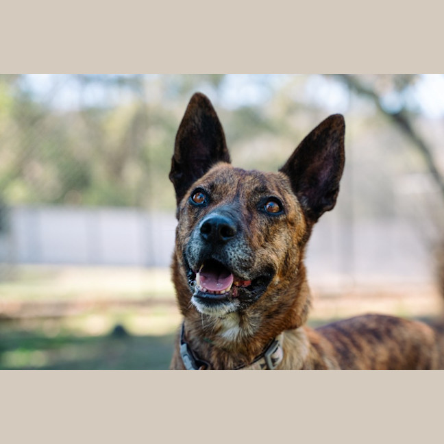 Photo of Swiftee Haliwell