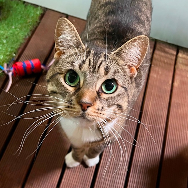 Photo of Effie & Kate