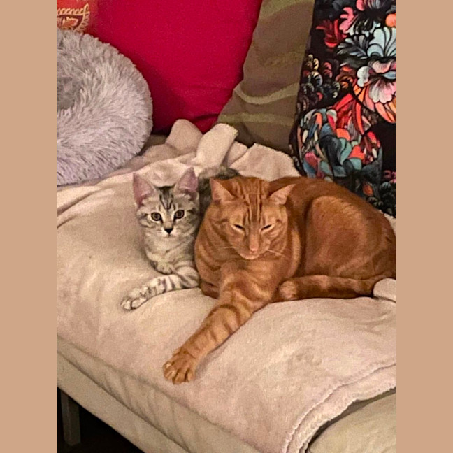 Photo of Rufus And Pandora