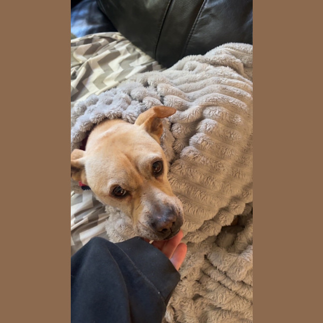 Photo of Mister And Kaydo