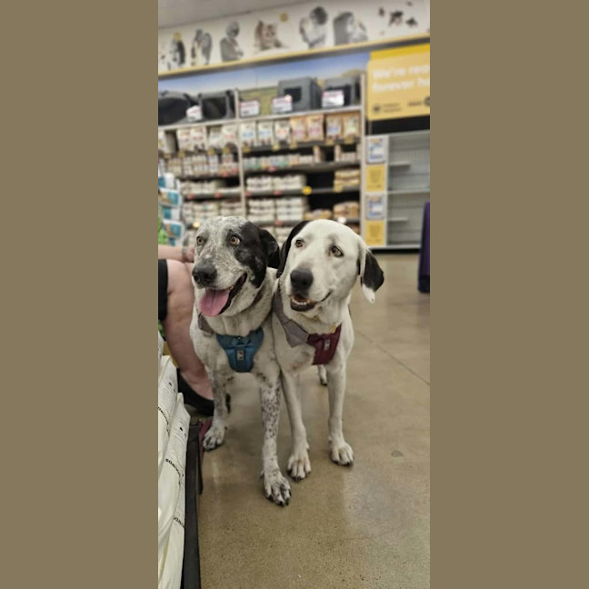 Photo of Dotti And Tina