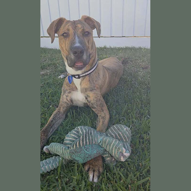 Photo of Tank