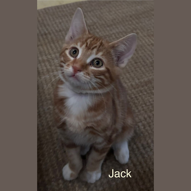 Photo of Jack