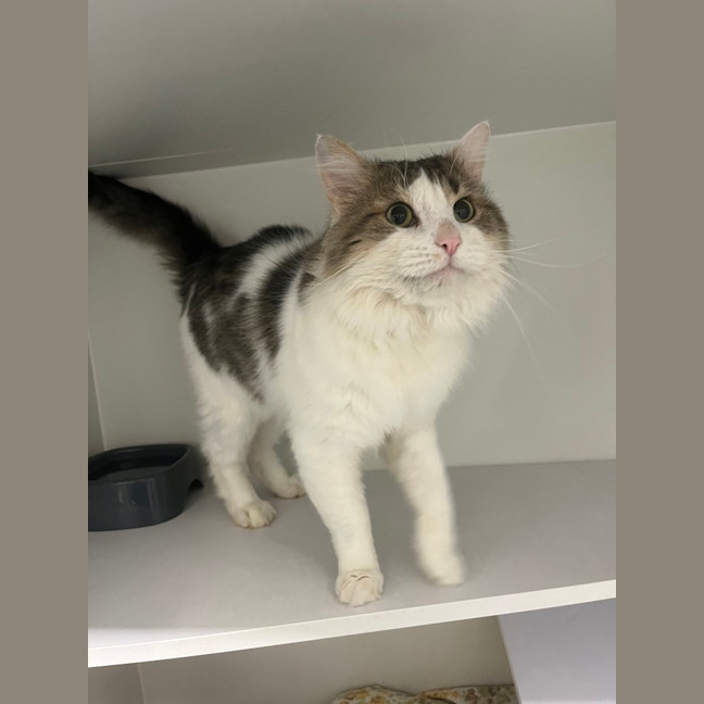 Photo of Reginald