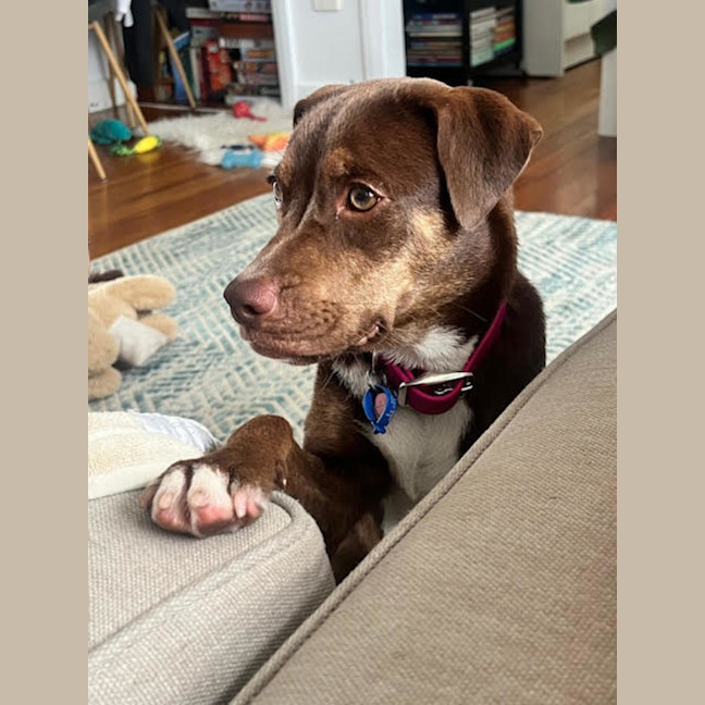 Photo of Bingo Ellie