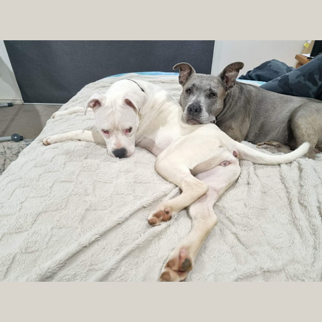 Photo of Crème Brulee