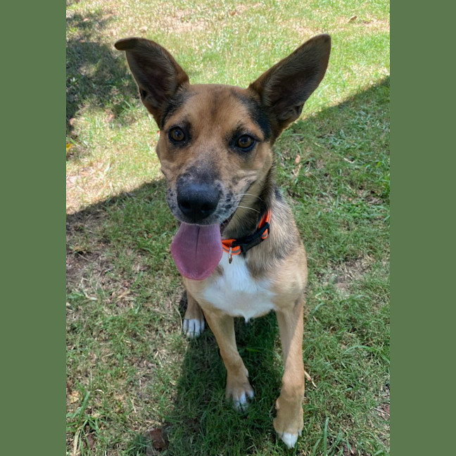 Photo of Maggie   Mae 