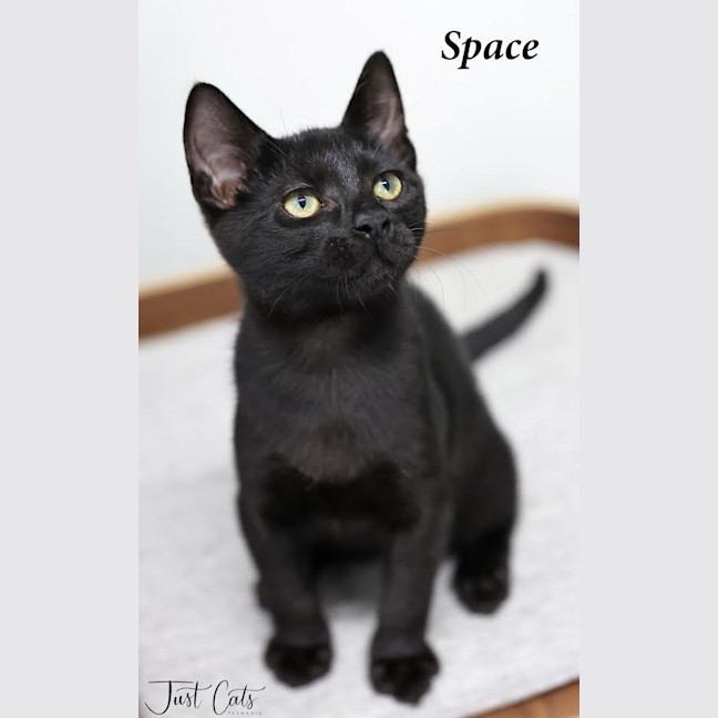 Photo of Space