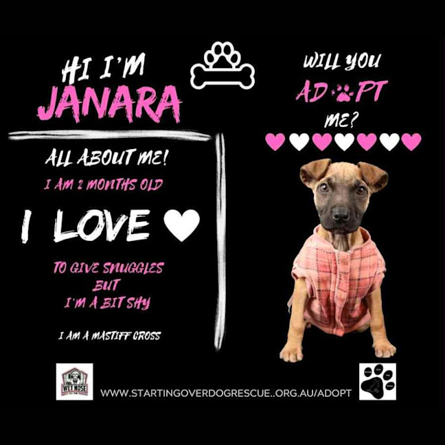 Photo of Janara