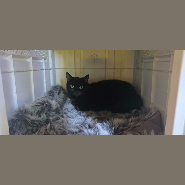 Photo of Bridget