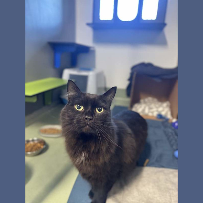 Photo of Jiji