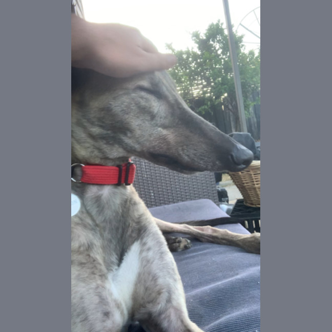 Photo of Monty