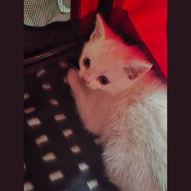 Photo of Jenny