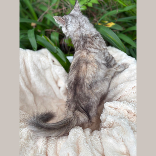 Photo of Saskia 🎁🥰😺🌸