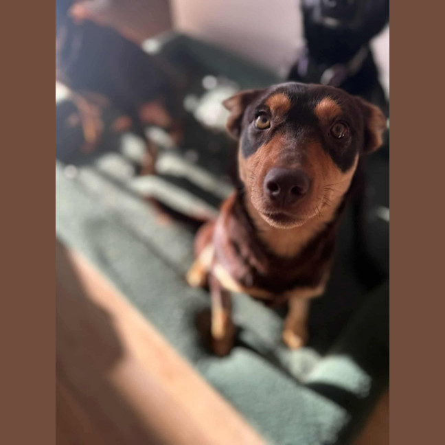 Photo of Arthur 