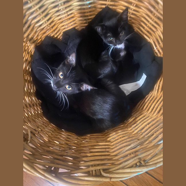 Photo of Baby & Belle