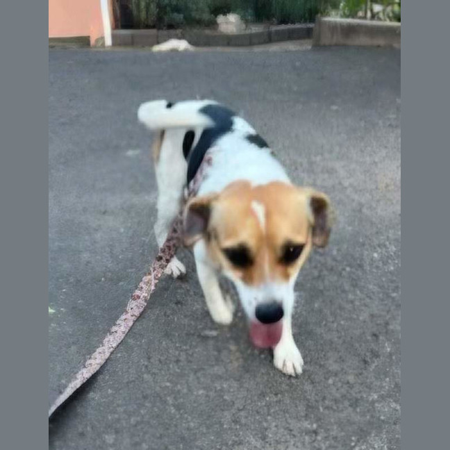 Photo of Russell