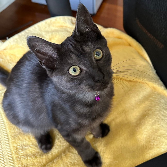 Photo of Lara