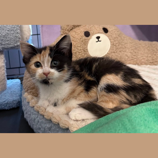 Photo of Wynter 🌺