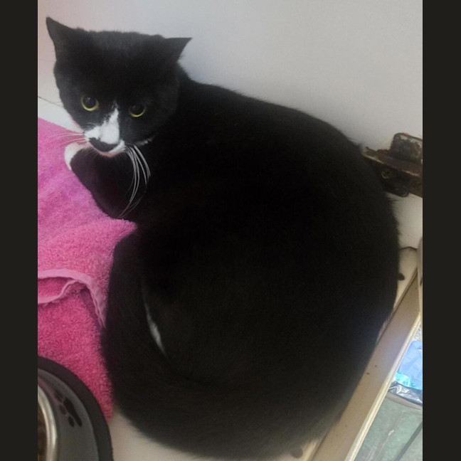Photo of Maggie
